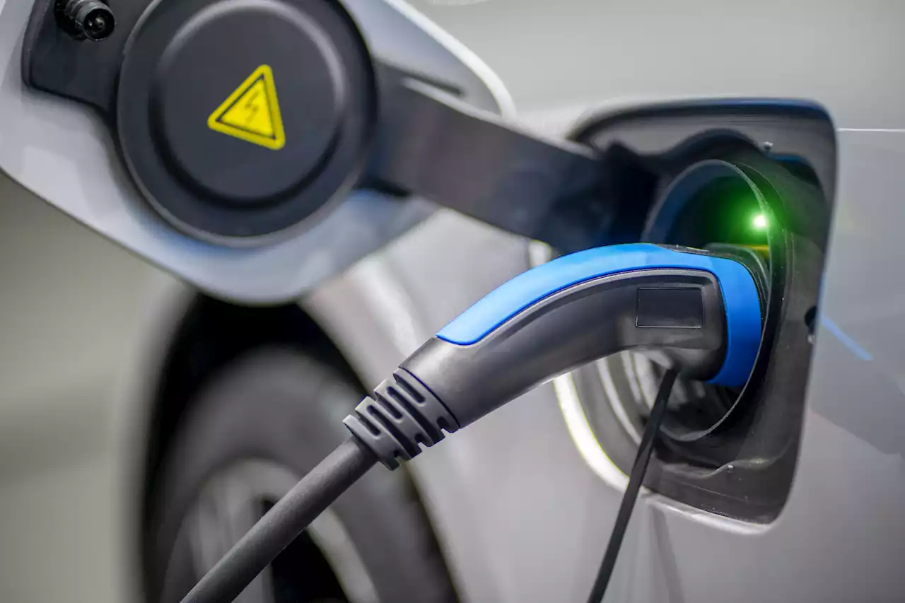 Electric car grant SCRAPPED overnight - and it could cost you £1,500