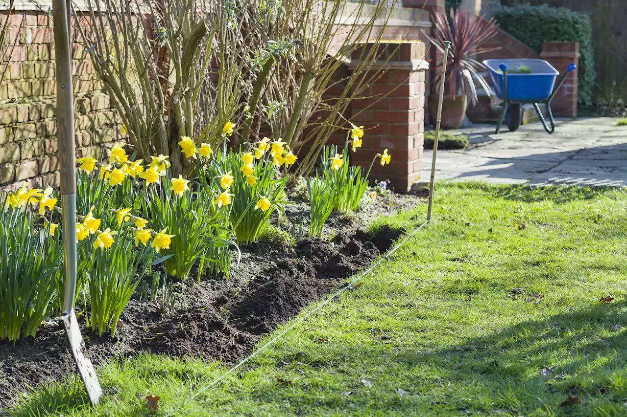 I'm a gardening expert - my 3 cheap tips will make your garden look way bigger