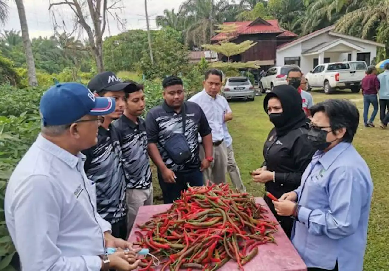 iGROW tawar lahir tenaga mahir sekuriti makanan