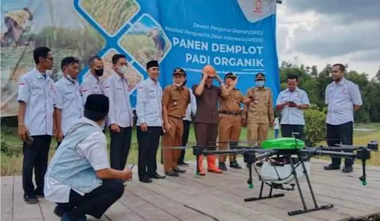 Kerja Sama dengan Apedi, Sangkara Kenalkan NFT Pertanian