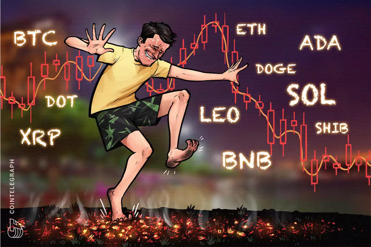 Price analysis 6/15: BTC, ETH, BNB, ADA, XRP, SOL, DOGE, DOT, LEO, SHIB