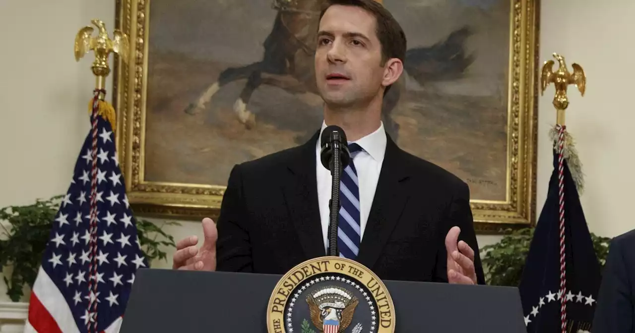 Don't count out Tom Cotton in 2024