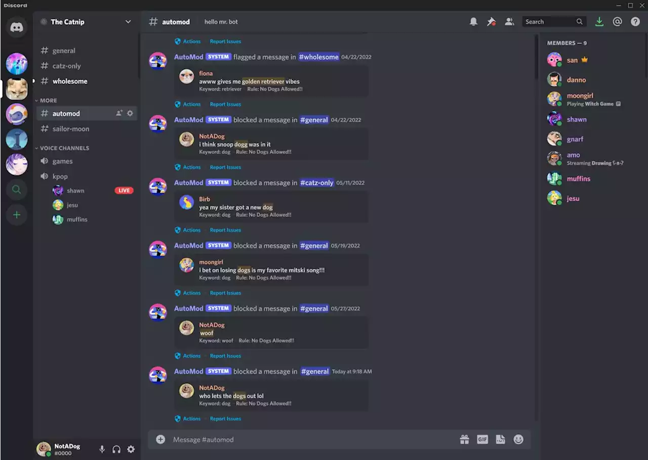 Discord's AutoMod can automatically detect and block offensive words for servers | Engadget