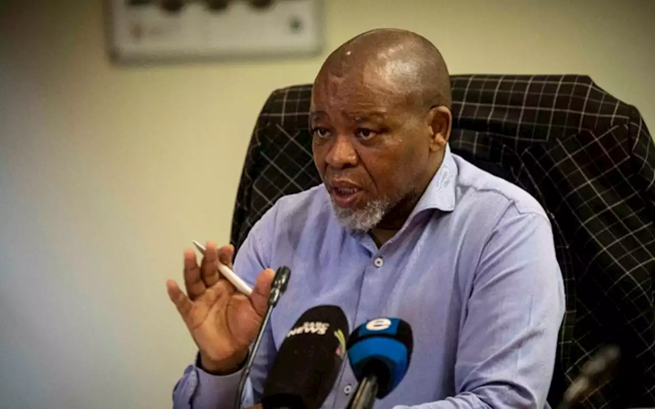 SA should consider importing crude oil from Russia, Mantashe tells MPs