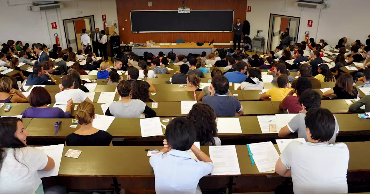 Università, presentato il Rapporto Alma Laurea 2022: cala il numero degli iscritti, ma aumenta il tasso di occupazione dei laureati - Il Fatto Quotidiano