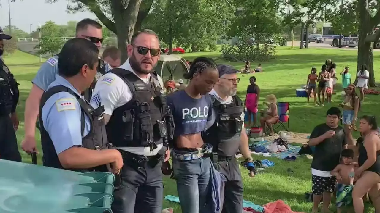 Chaos erupts at Chicago beach when police spot gun