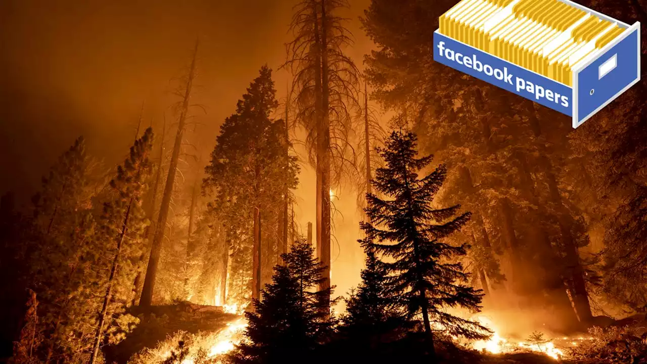 The Facebook Papers: How Meta Failed to Fight Against Climate Denial