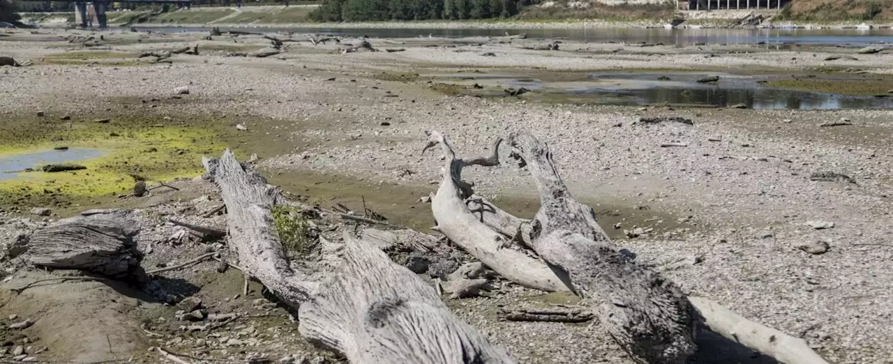 Secca record del Po, autobotti nei paesi: ecco come risparmiare l’acqua (di A. Cianciullo)