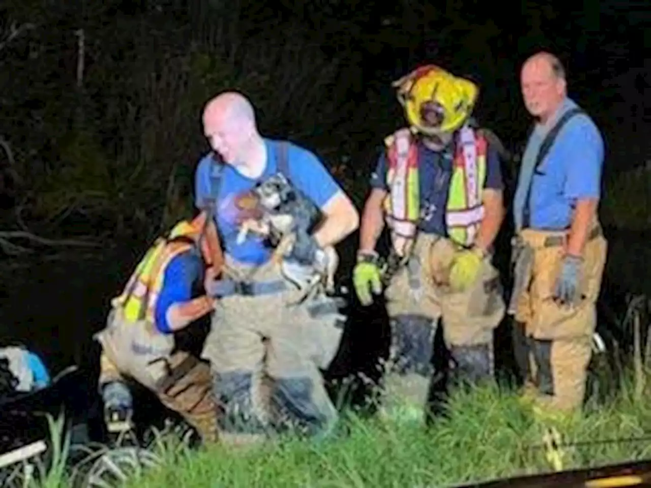 Dog pulled alive from car submerged under water for 20 minutes