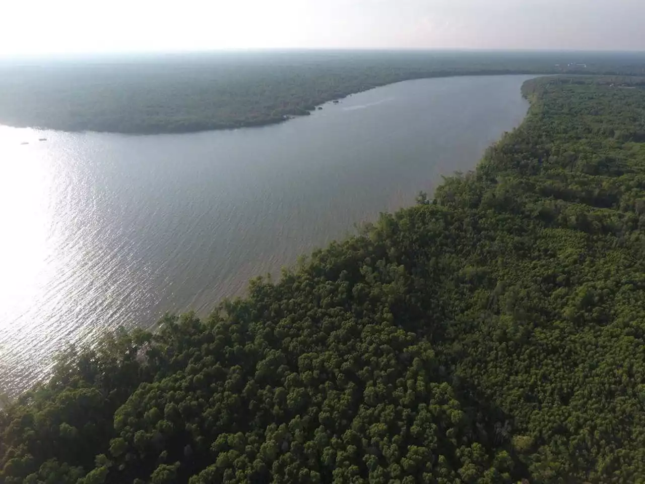 Uncertainty swirls around proposed tourism project for Kuala Selangor Nature Park