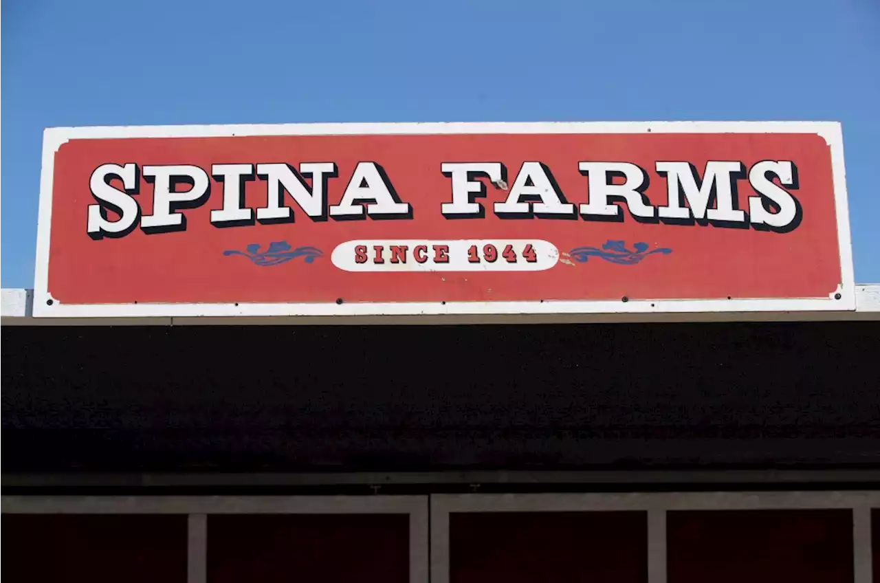 Iconic Coyote Valley pumpkin patch and fruit stand finds new home after lease termination