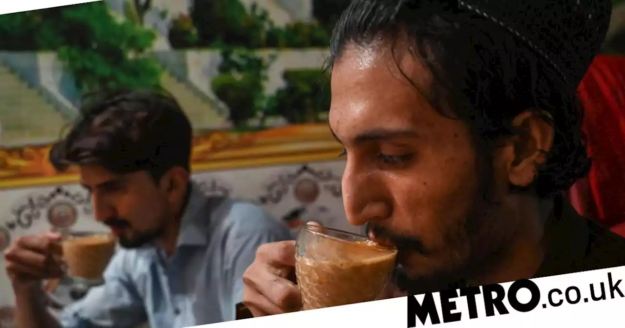 Pakistani tea drinkers fuming after minister tells them to cut down on cuppas