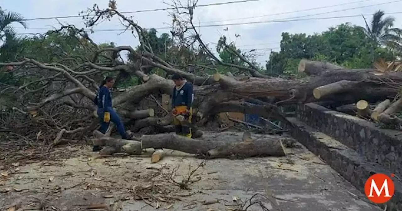 En Colima, huracán 'Blas' sólo ha dejado daños menores: autoridades