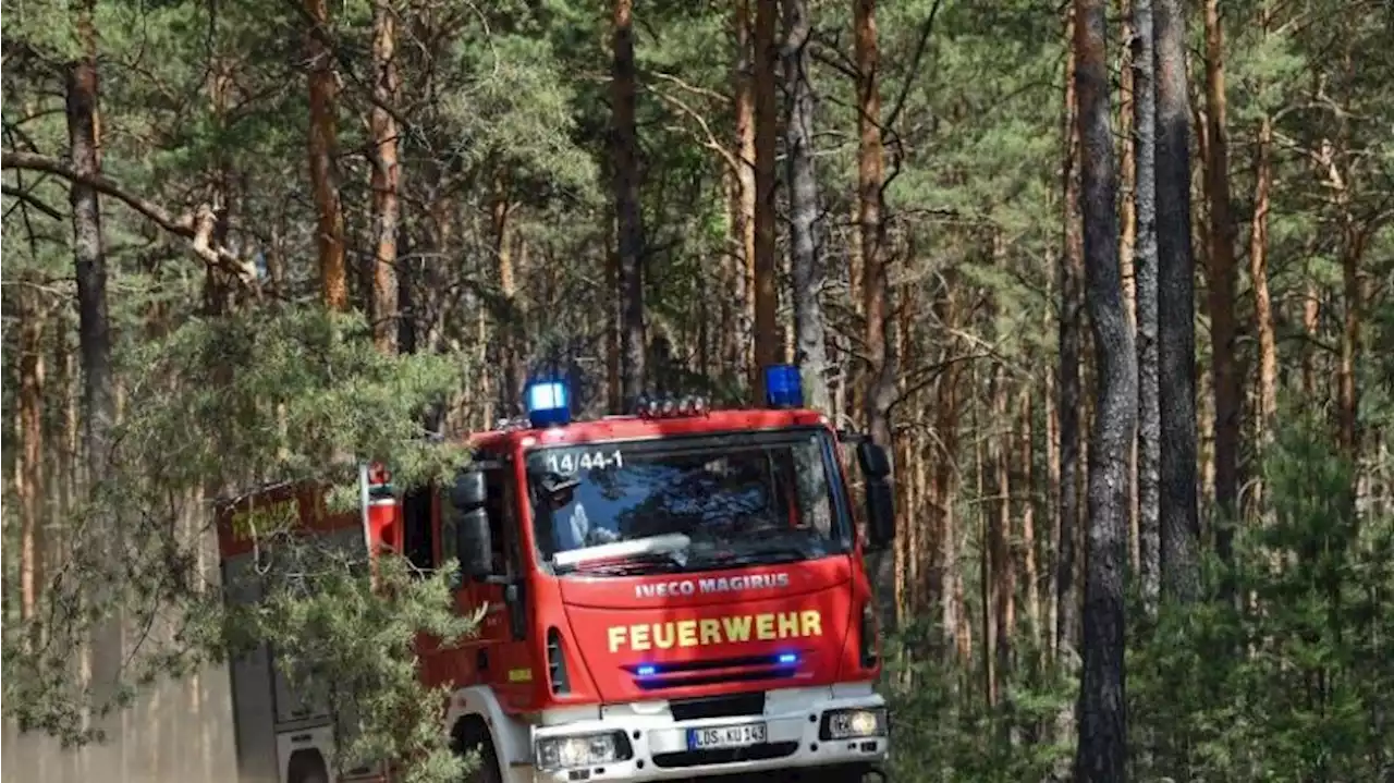 Heidebrand an der Stadtgrenze zu Berlin auf 1,2 Hektar