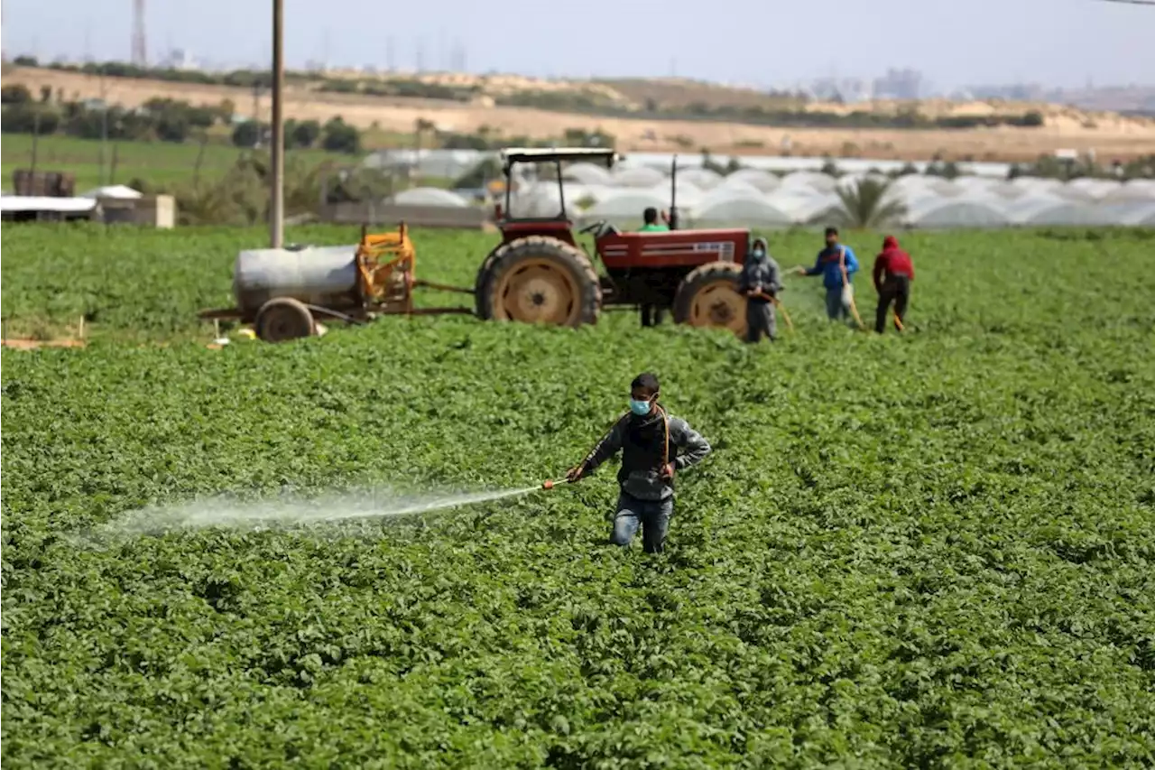 Israel announces additional entry permits for Palestinian workers in Gaza | News24