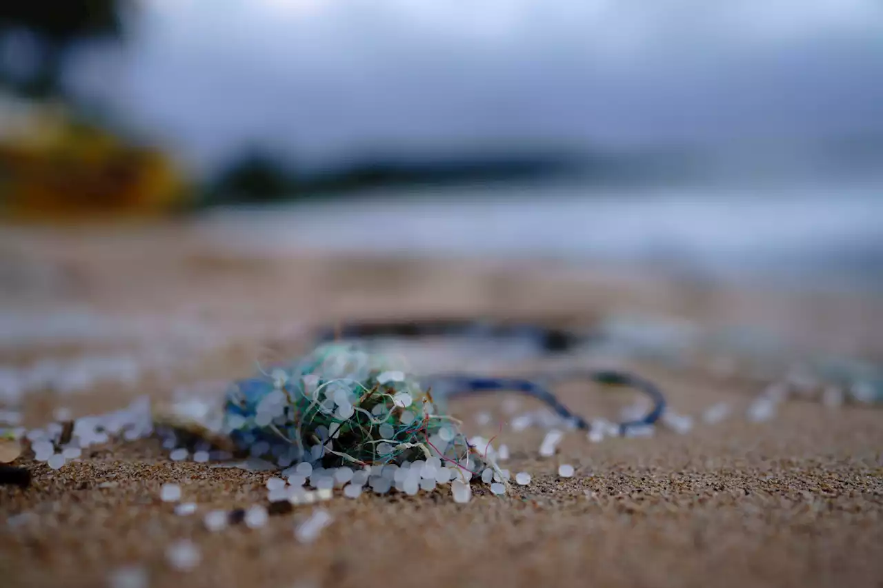 Horrific blobs of 'plastitar' are gunking up Atlantic beaches