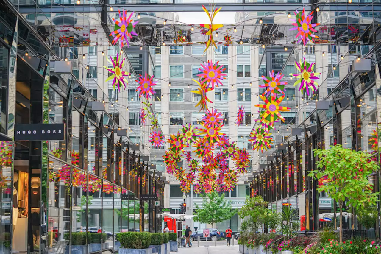 Tonight: 'The American Pops Orchestra is bringing Broadway hits with a modern twist to the Plaza at CityCenter from 7:30 - 8:30 p.m.' and check out the new Coneflower Canopy by Phaan Howng