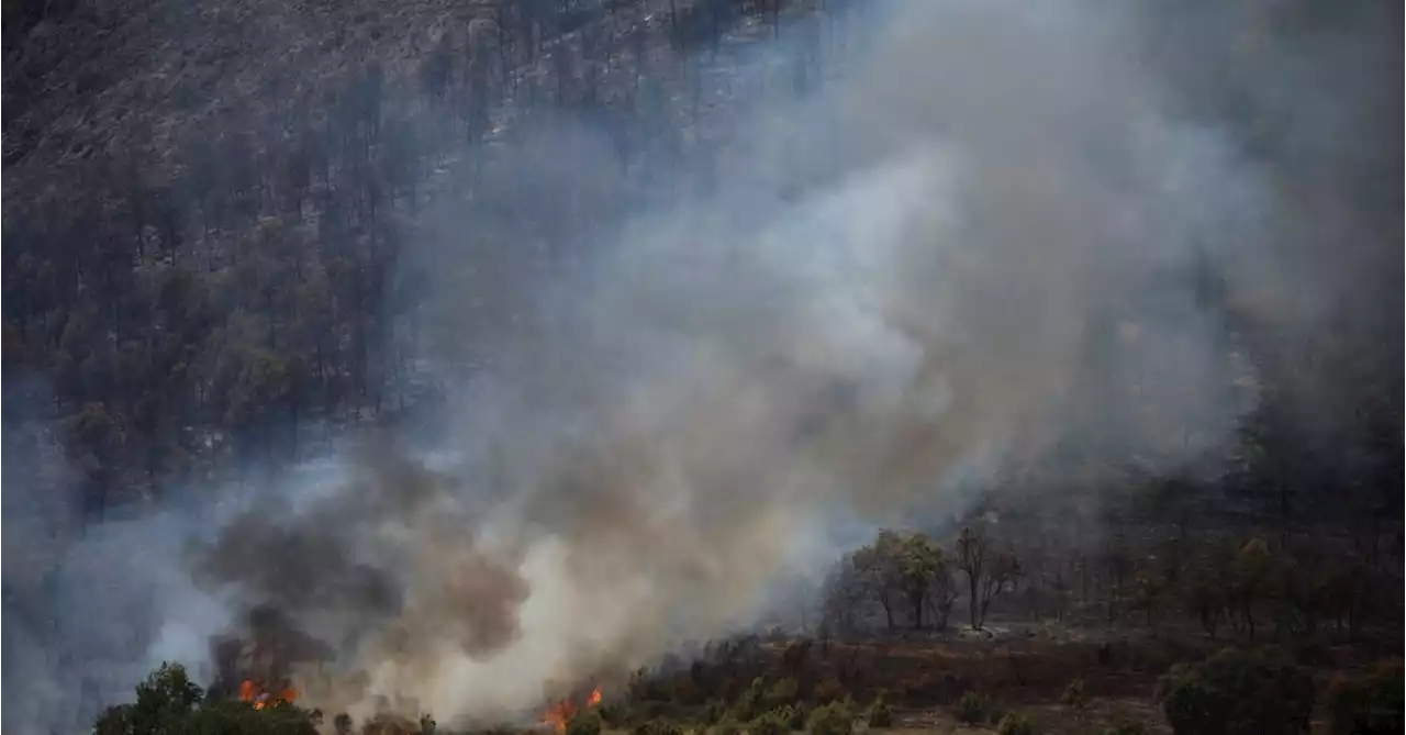 Wildfires ravage woods in Spain's Catalonia as heat-wave bites