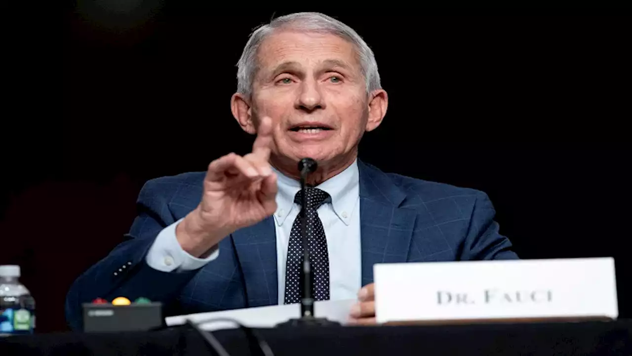 Fauci, face of US battle against COVID-19, tests positive - SABC News - Breaking news, special reports, world, business, sport coverage of all South African current events. Africa's news leader.