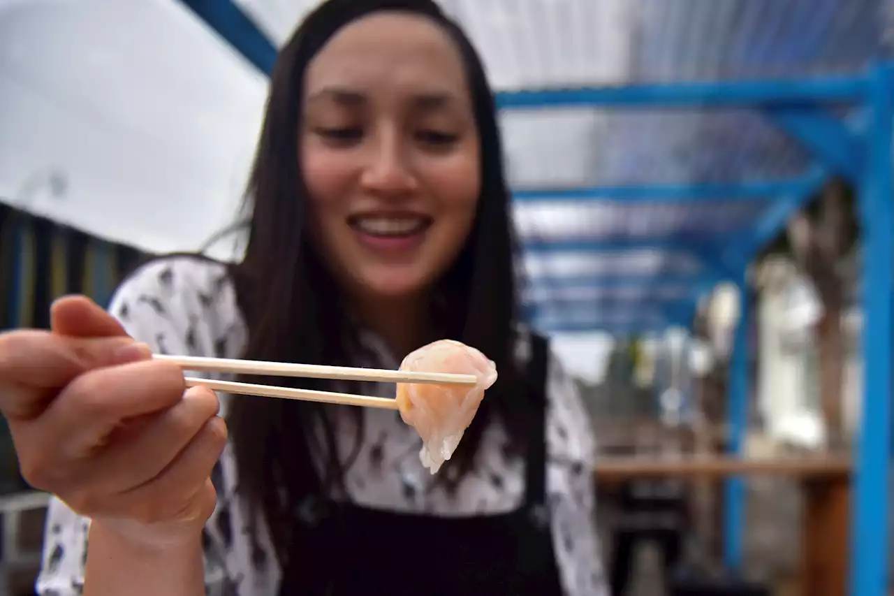 SFGATE's new dumpling reviewer takes on some giant potstickers