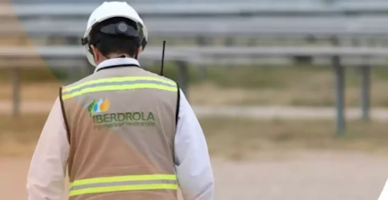 Eléctrica deberá devolver los terrenos de la planta fotovoltaica más grande de Europa