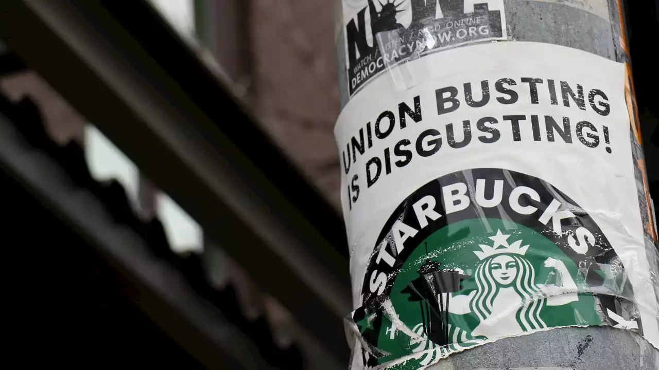 Starbucks Threatens to Take Away Trans Health Benefits at Stores That Unionize