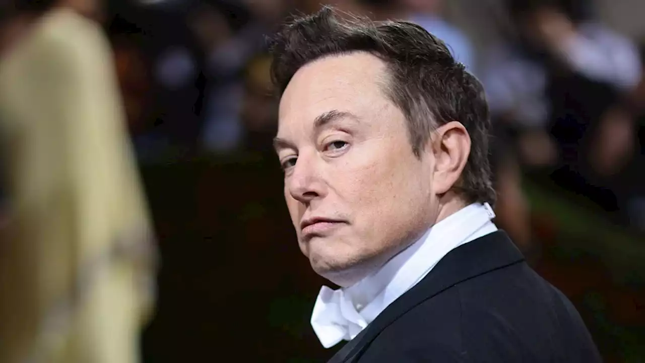 Elon Musk Wants Twitter to Be a Little More Like TikTok