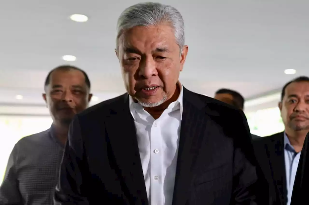 'Monster', kod nama Ahmad Zahid dalam lejar