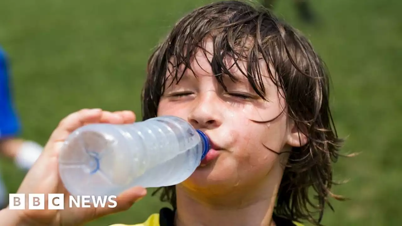 Heatwaves: What do they do to the body and who is at risk?