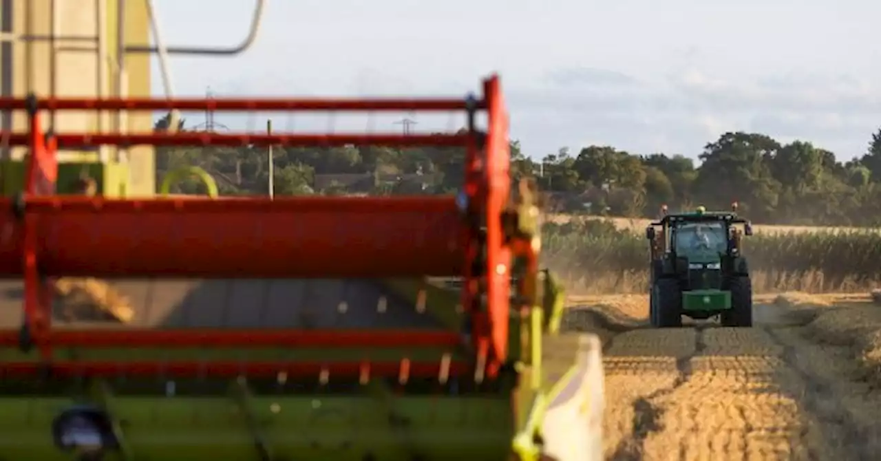 Farmers Warn Soaring Diesel Prices Could Cause Food Shortages