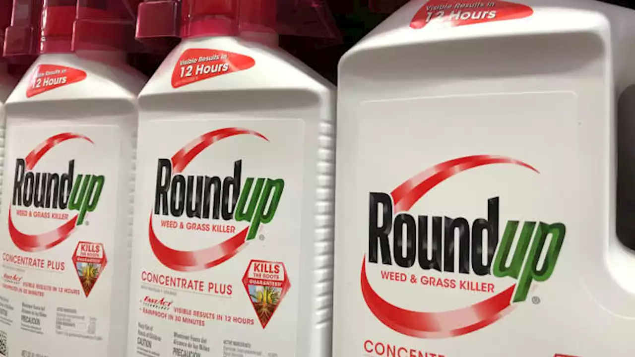 EPA ordered to reassess health risks in Bayer's weed killer ingredient