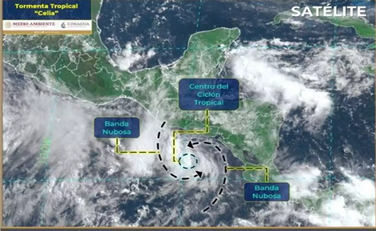 Se forma tormenta tropical 'Celia' en el Pacífico