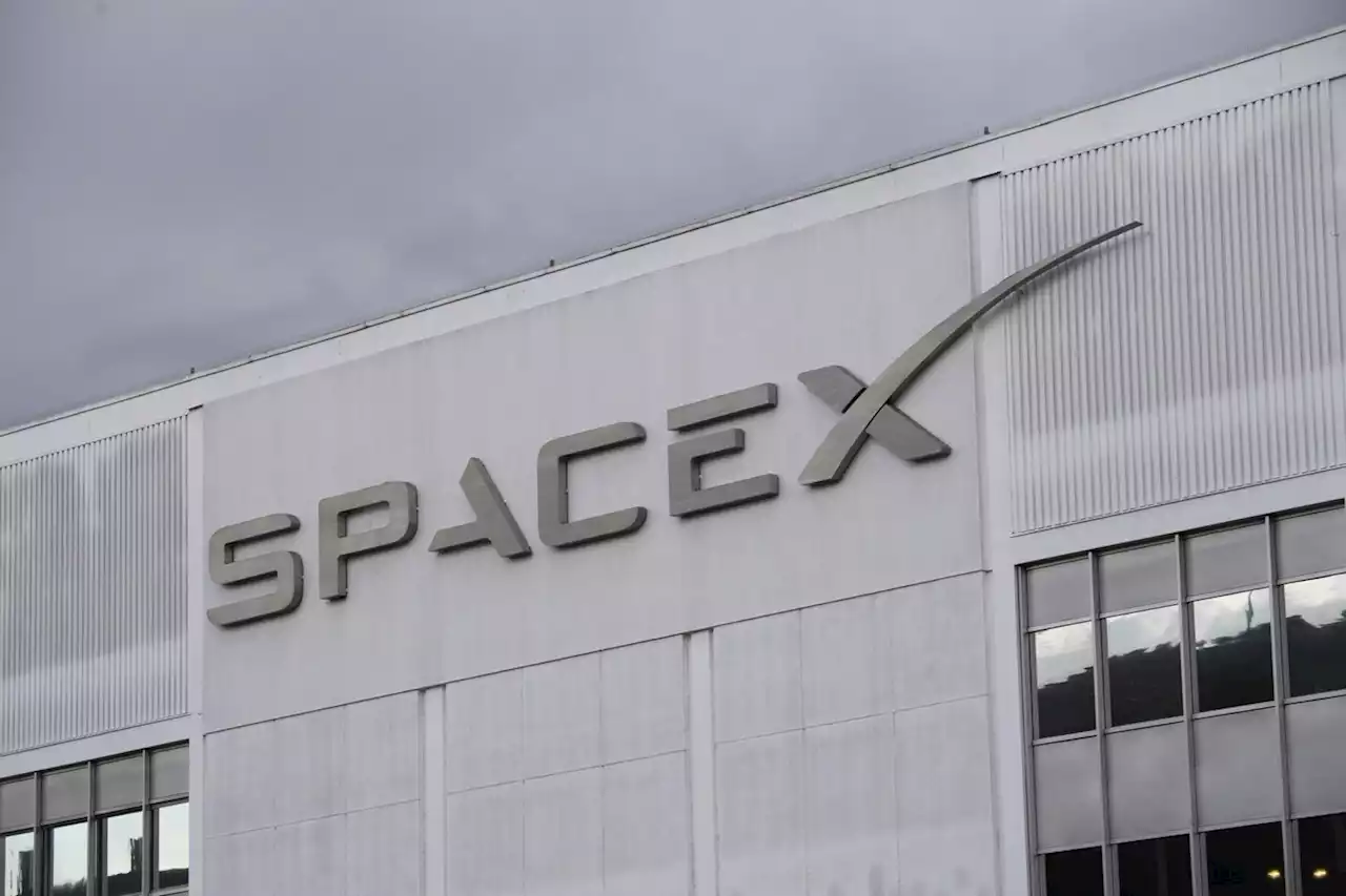 SpaceX reportedly fired employees behind letter criticizing Elon Musk | Engadget