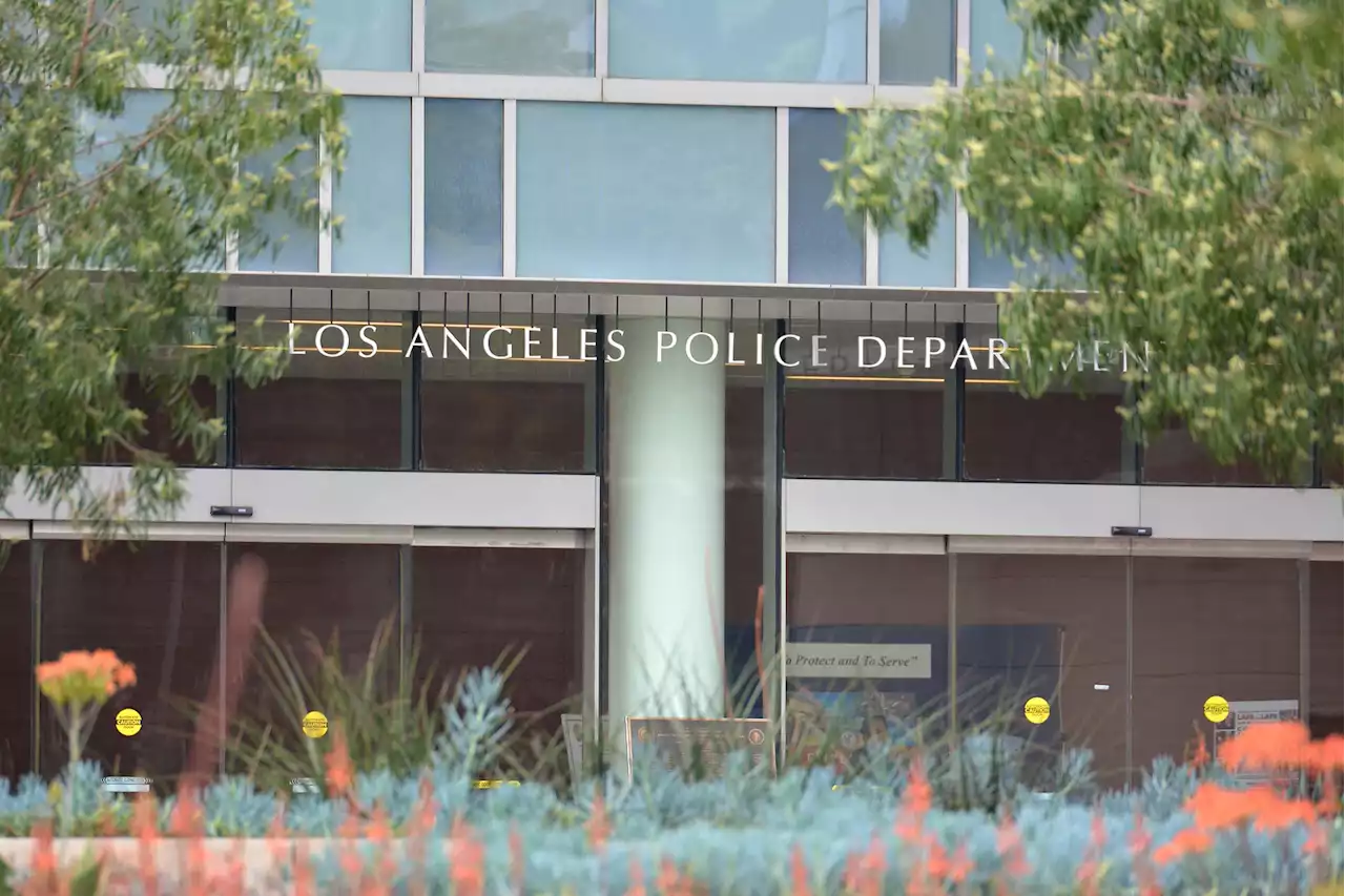 LAPD Task Force Arrests Man Suspected of Robberies in Hollywood