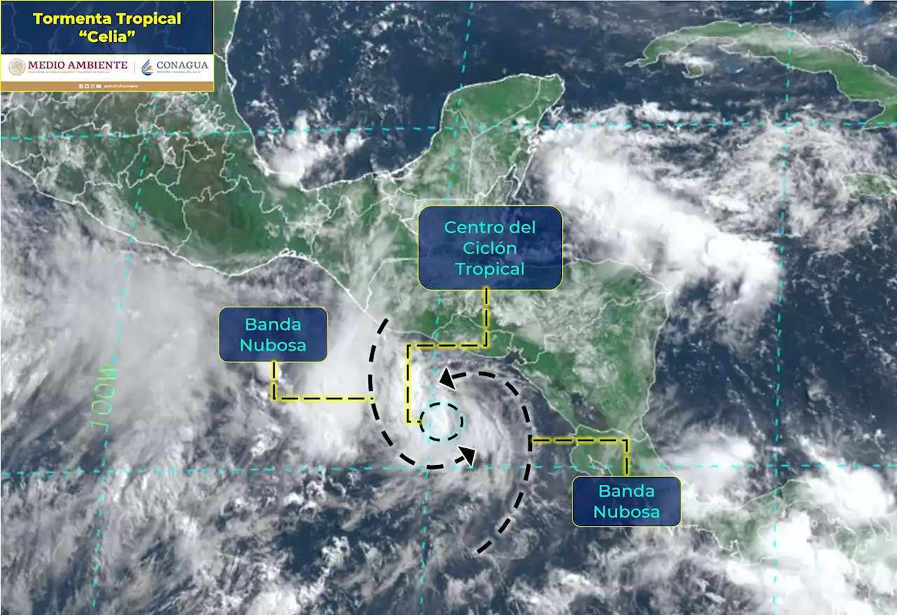 Huracán 'Blas' se aleja, pero se forma 'Celia', nueva tormenta tropical que alerta a 6 estados