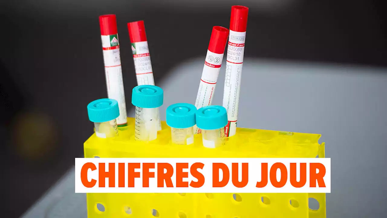 Coronavirus en Belgique - Bilan du jour: voici les chiffres