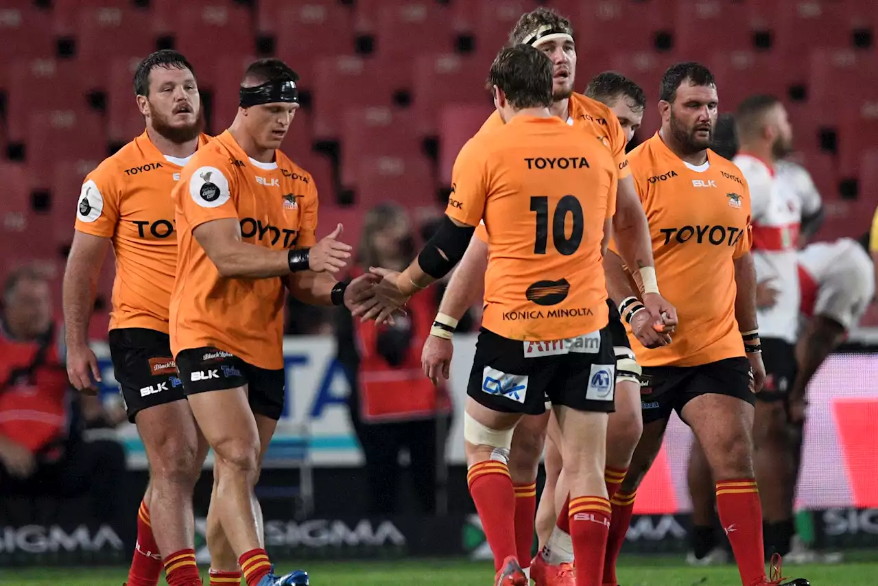 Cheetahs wary of hungry Pumas