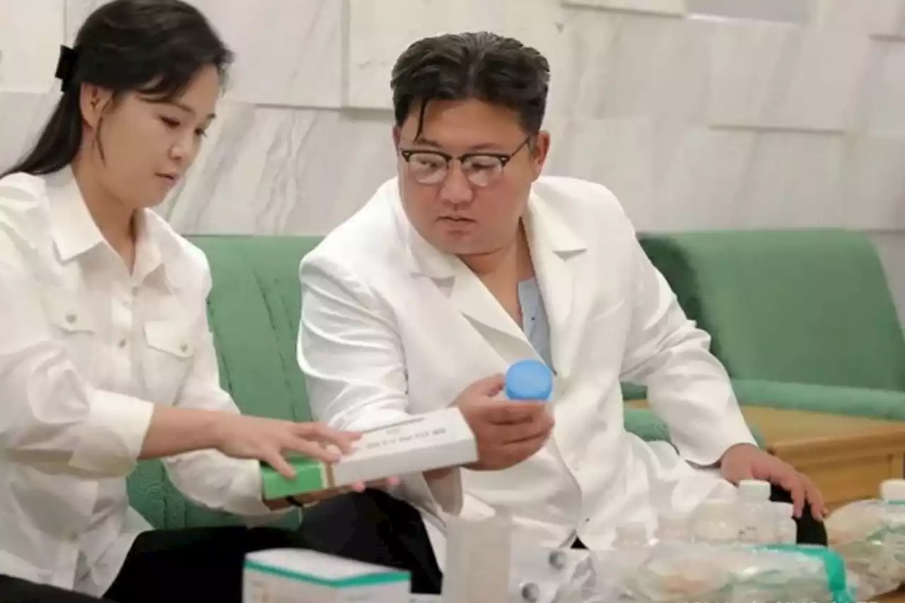 North Korea says hundreds of families ill with intestinal disease | The Citizen