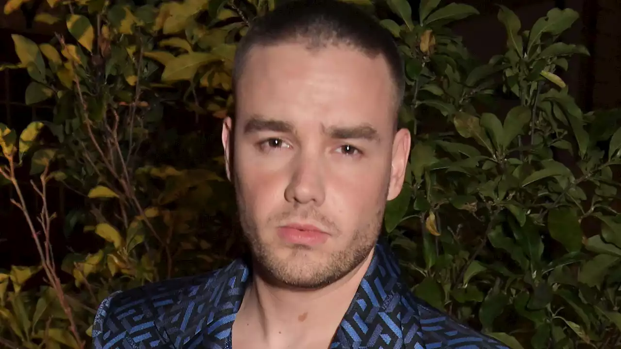 Liam Payne is growing close to ex Danielle Peazer again nine years after split