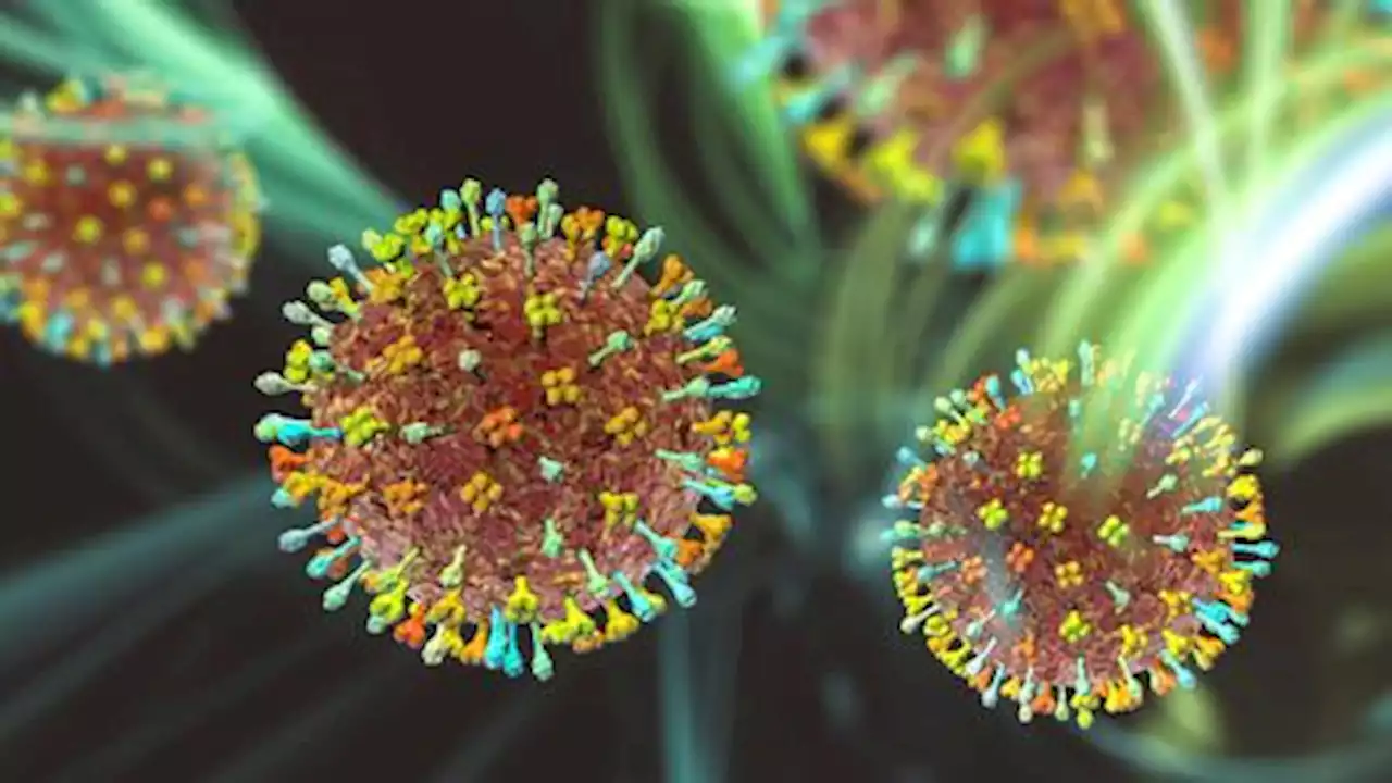 Four antibodies destroy deadly Henipavirus pathogens