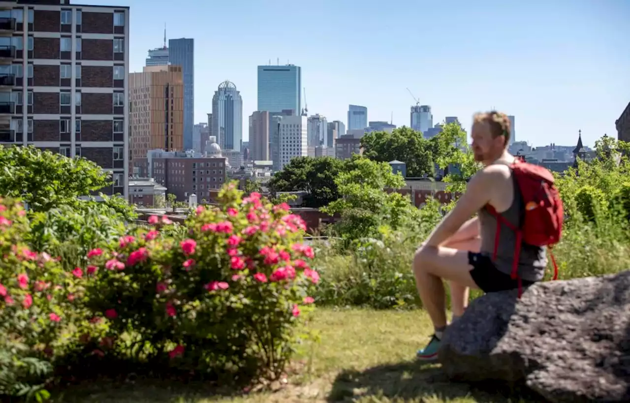 How to hike through 25 miles of green space in Boston