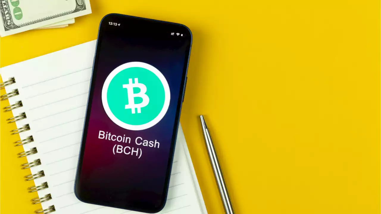 Biggest Movers: BCH Higher to Start the Weekend, MATIC Hits 15-Month Low – Market Updates Bitcoin News