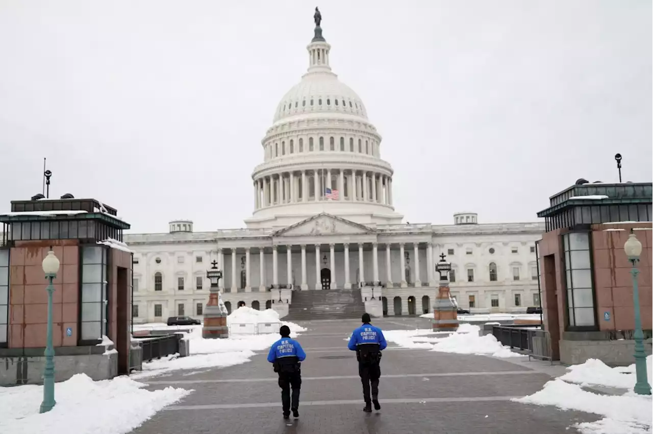 ‘Late Show’ Staffers Detained By U.S. Capitol Police, Including Robert Smigel, Voice Of Triumph, The Insult Comic Dog