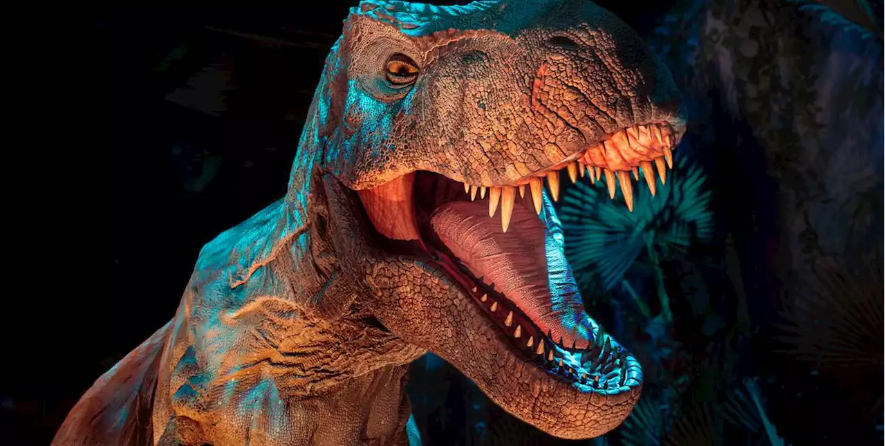 Jurassic World: The Exhibition with roaming dinosaurs set to launch soon