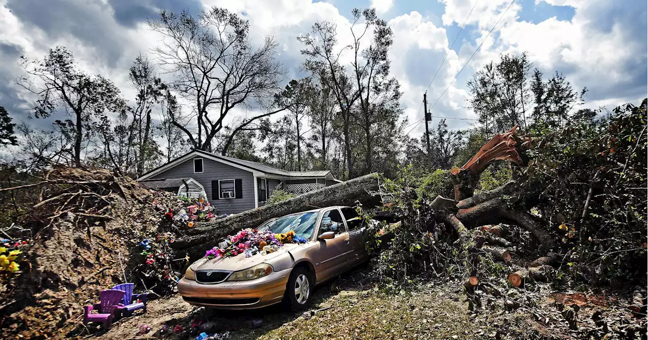 Virtual meetings to be held in relation to Hurricane Michael