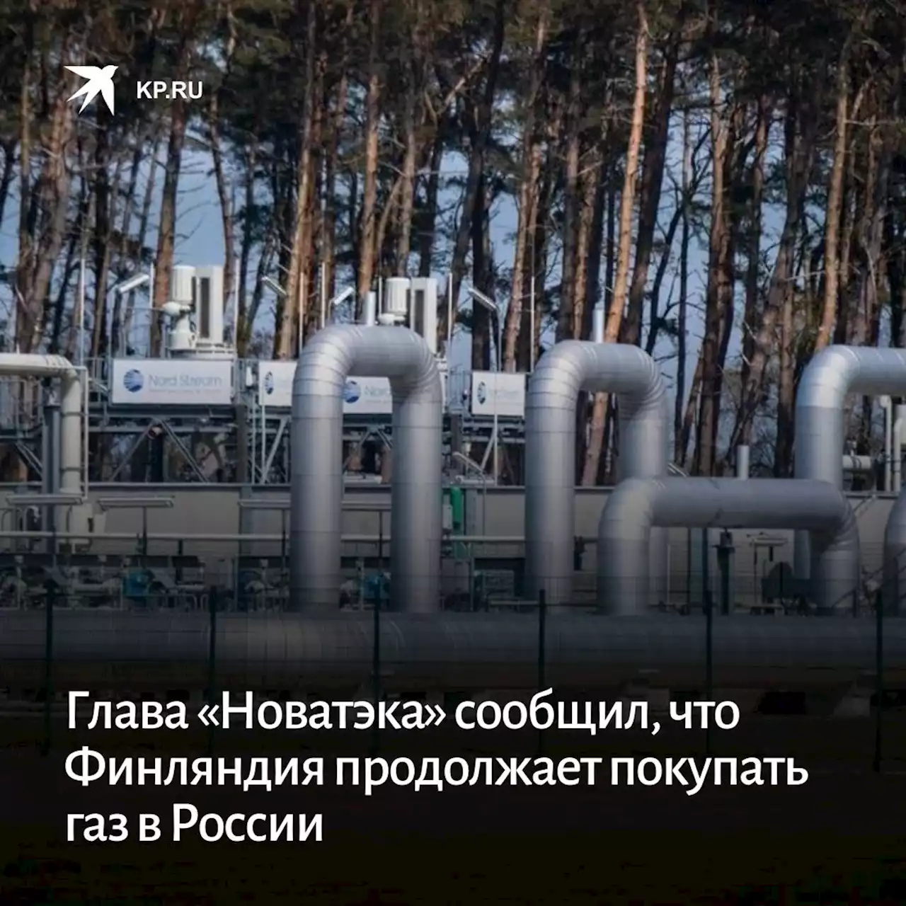 Глава «Новатэка» сообщил, что Финляндия продолжает покупать газ в России