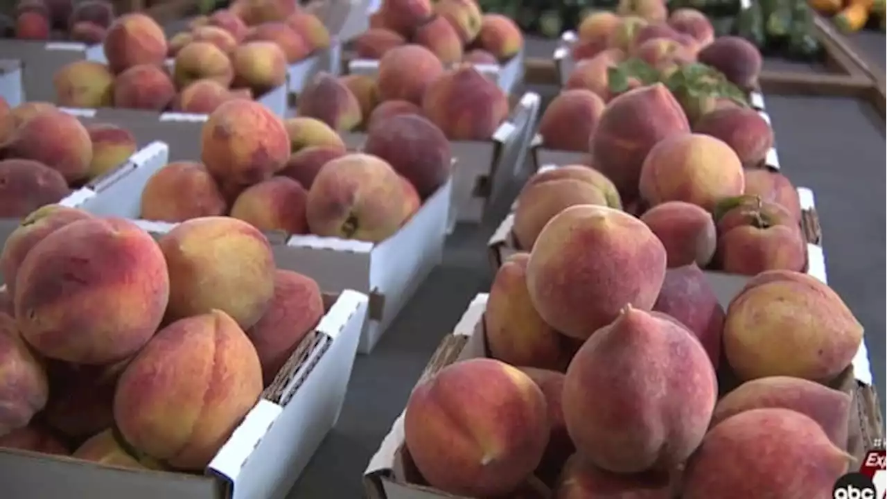 South Texas farmers face production woes amid drought, extreme temperatures