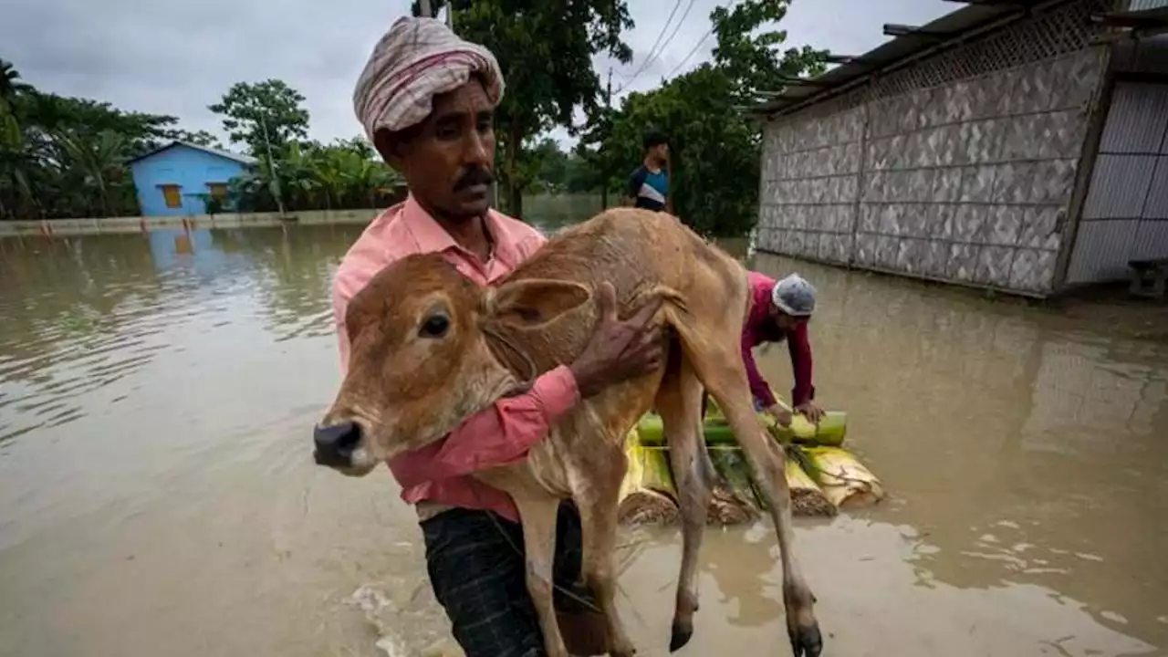 Lluvias e inundaciones en India y Bangladesh dejan al menos 18 muertos