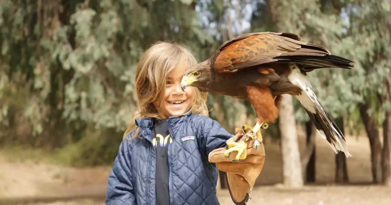 7 SoCal experiences that get your kids up close and personal with extraordinary animals