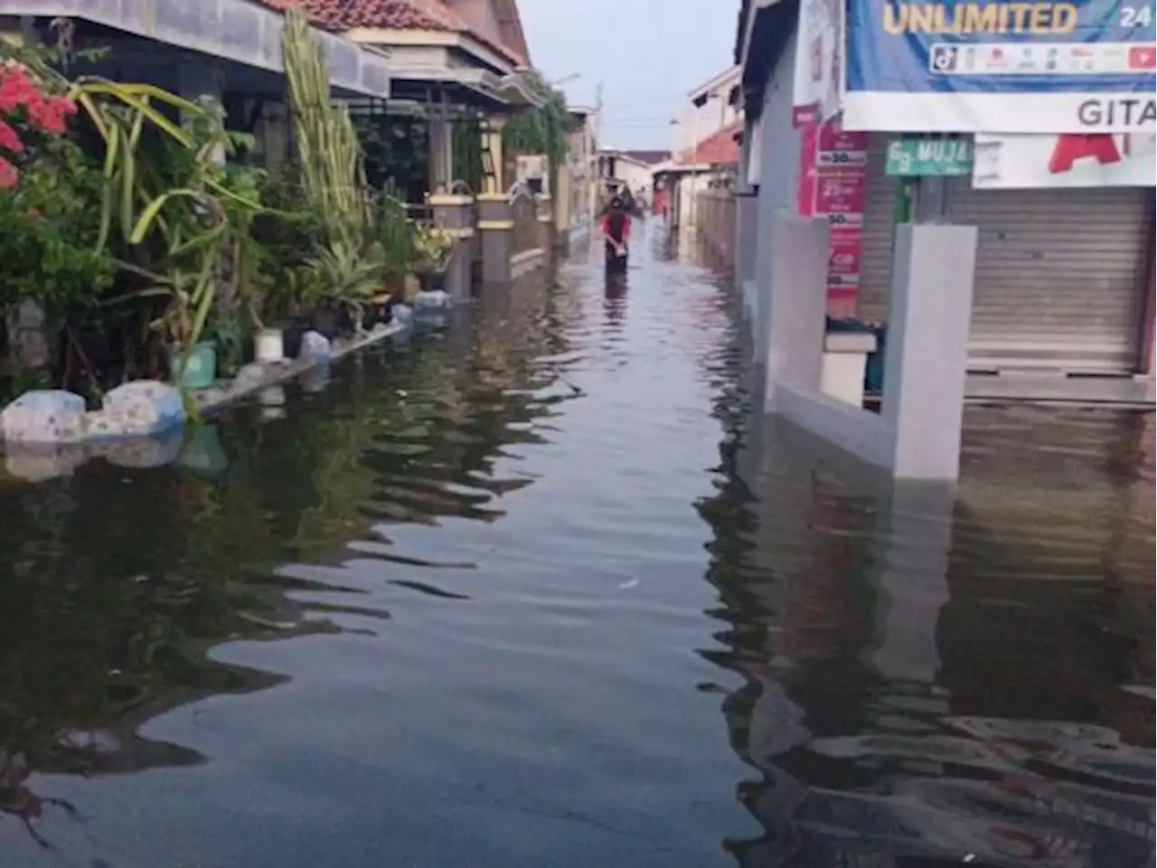 Banjir Rob dan Gelombang Tinggi kembali Terjang Pantura Jateng